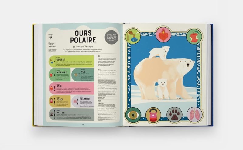 Super Animaux Superpouvoirs