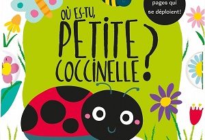 ou-es-tu-petite-coccinelle-Glenat