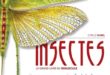 insectes-le-grand-livre-du-minuscule-Delachaux-Niestlé