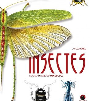 Insectes – Le grand livre du minuscule