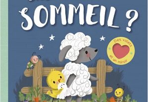 qui-a-sommeil-volets-miroir-Grund