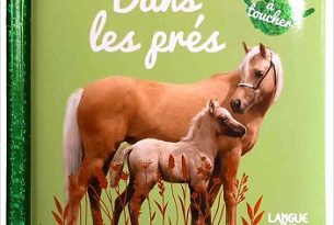 Dans-les-prés-Langue-au-chat