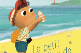 Le petit caillou de la plage