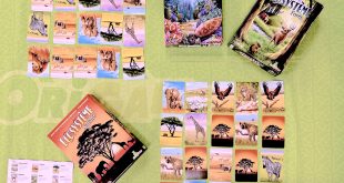Ecosystème Savane OriGames