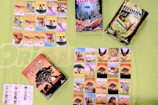 Ecosystème Savane OriGames