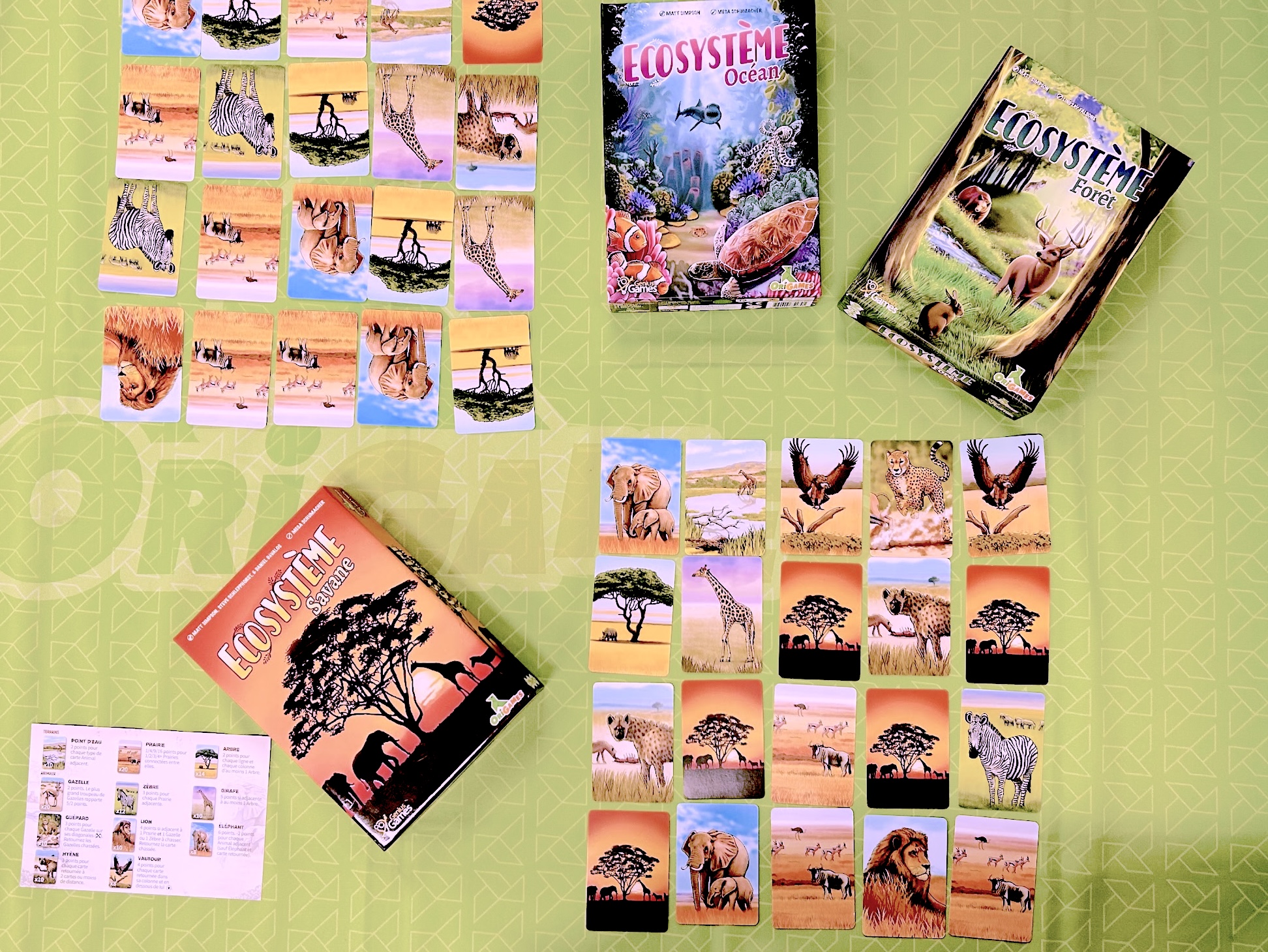 Ecosystème Savane OriGames