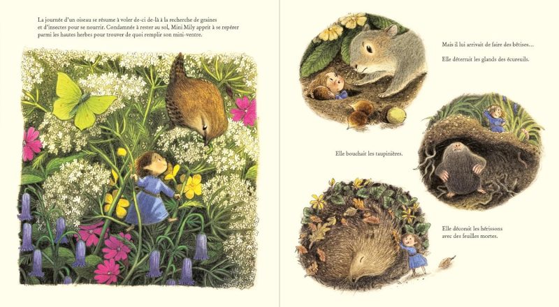 La petite fée des bois