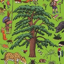 cherche-et-trouve-géant-dans-les-forets-du-monde-Seuil