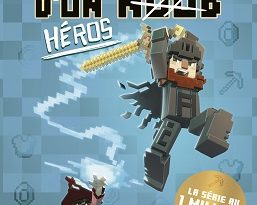 journal-d-un-noob-t8-editions-404