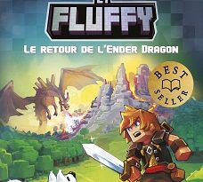 Frigiel-Fluffy-T1-Retour-Ender-Dragon-PKJ