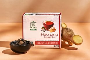 hao-ling-gingembre