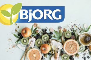 Nouveautés Bjorg pour les pressés