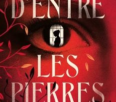 d-entre-les-pierres-roman-Sarbacane
