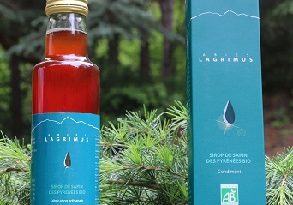 Abies-Lagrimus-sirop-de-sapin-Pyrénées