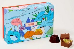 Chapon-Coffret-Merveilleuse-épopée-assortiment-chocolats