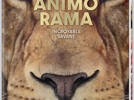 animorama-incroyable-savane-Larousse-jeunesse