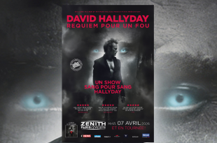 David Hallyday sur scène lors de la tournée Requiem pour un fou au Zénith de Paris en avril 2026