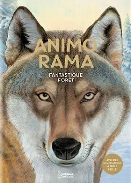 Animo-rama-Fantastique-foret-Larousse-jeunesse Animo-rama-Fantastique-foret-Larousse-jeunesse