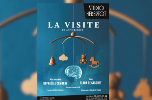 La Visite spectacle maternité Studio Hébertot Paris 2026