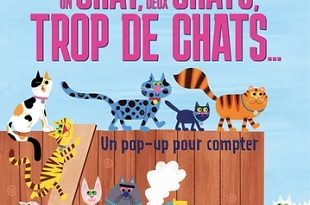 un-chat-deux-chats-trop-de-chats-Glenat-jeunesse