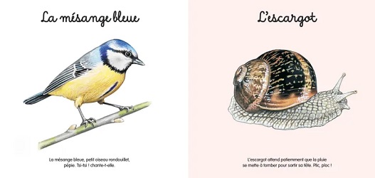 Mes-jolis-petits-docs-Le-jardin-Larousse-jeunesse-extrait Mes-jolis-petits-docs-Le-jardin-Larousse-jeunesse-extrait