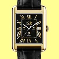 Ice-Watch-montre-femme-ice-smart-tks-2-0