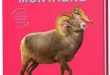 Mes animaux du monde – Les animaux de la montagne – Ed. Larousse jeunesse