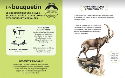 Mes-animaux-du-monde-Les-animaux-de-la-montagne-Larousse-jeunesse-extrait Mes-animaux-du-monde-Les-animaux-de-la-montagne-Larousse-jeunesse-extrait