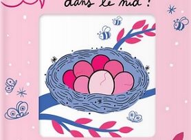 mes-devinettes-magiques-Qui-vit-dans-le-nid-Larousse-jeunesse