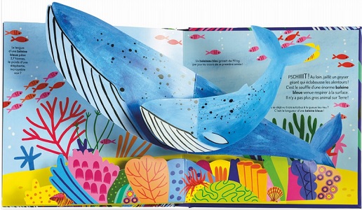 A-la-decouverte-des-oceans-Glenat-jeunesse-extrait A-la-decouverte-des-oceans-Glenat-jeunesse-extrait