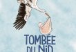 Tombée-du-nid-BD-Artege