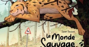 Le-monde-sauvage-T2-lynx-boréal-De-la-Gouttière