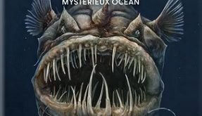 Animorama-mystérieux-océan-Larousse-jeunesse