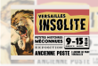 Versailles Insolite : les anecdotes secrètes de la cité royale