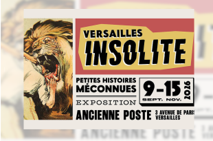 Versailles Insolite, exposition sur les anecdotes méconnues de la cité royale