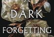 a-dark-forgetting-PKJ