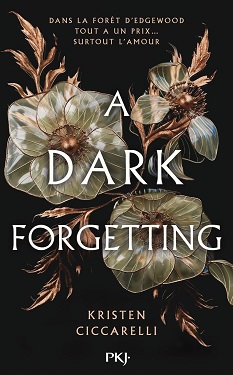 a-dark-forgetting-PKJ a-dark-forgetting-PKJ